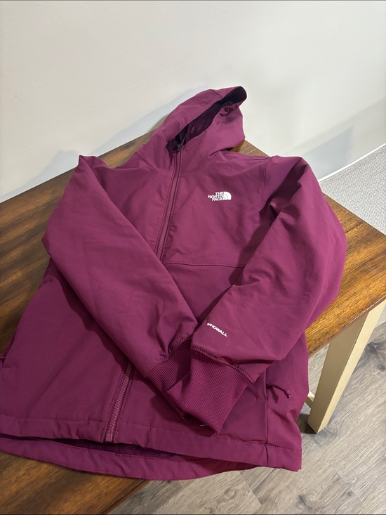 The North Face Jackets & Blazers - The North Face Shelbe Raschel Hoodie